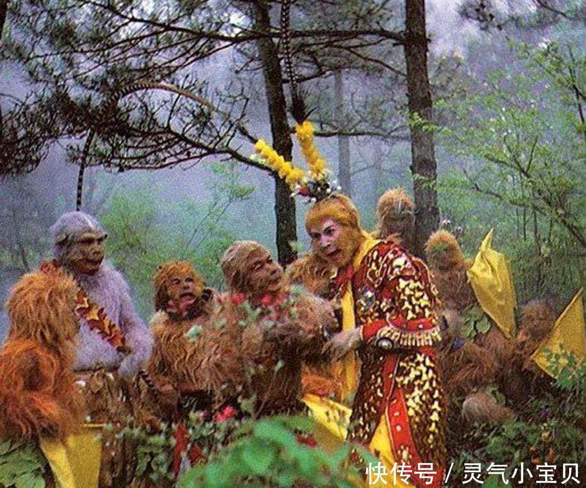 花果山电报猴台词_花果山电报员搞笑视频