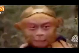 电报员必备表情包_telegram动态表情包