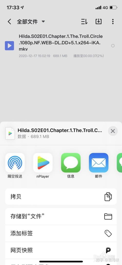 苹果手机怎么下载中文版飞机_苹果手机怎么下载中文版纸飞机