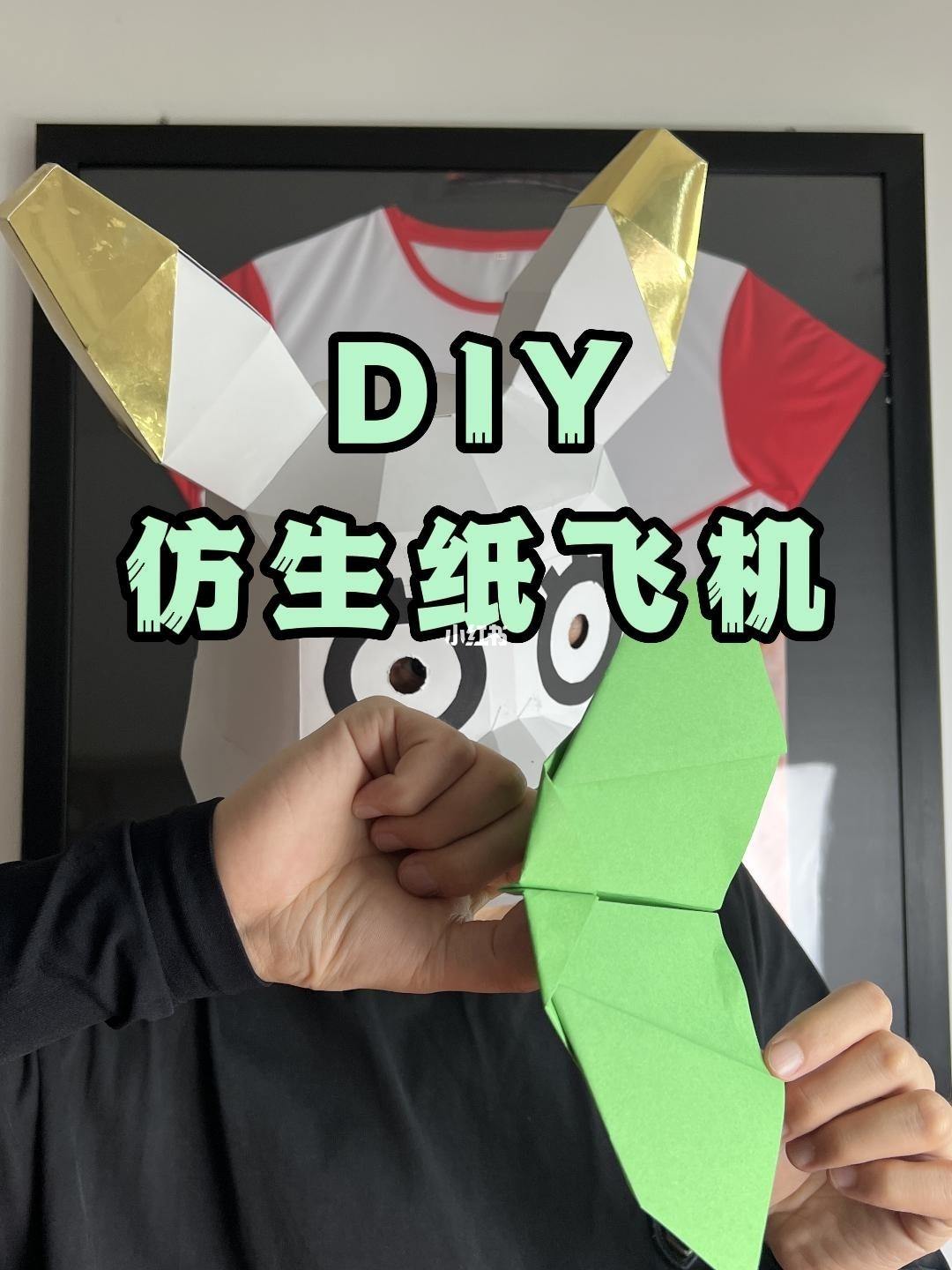 蝙蝠和纸飞机软件哪个软件好_蝙蝠和纸飞机软件哪个软件好一点