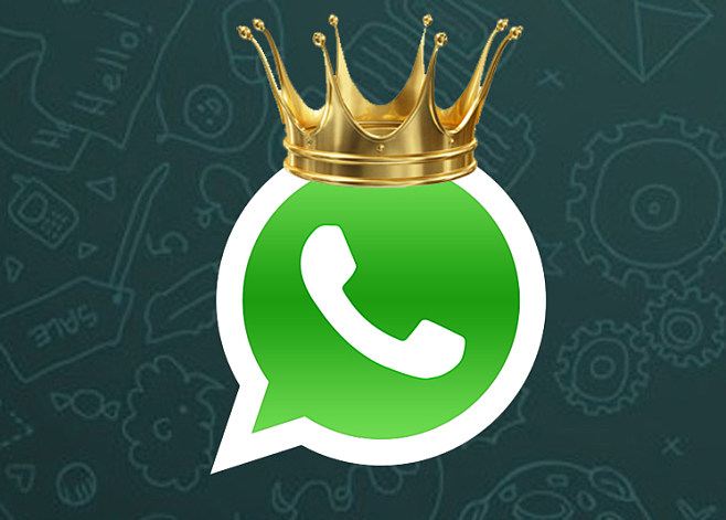 whatsapp商业版最新下载_whatsapp business官方下载