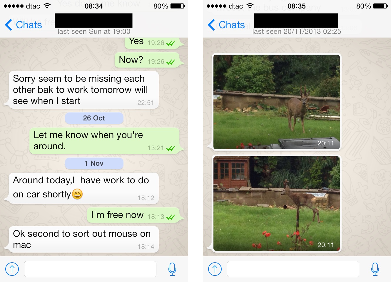 whatsapp换手机聊天记录转移_如何转移whatsapp聊天记录到另一个新手机