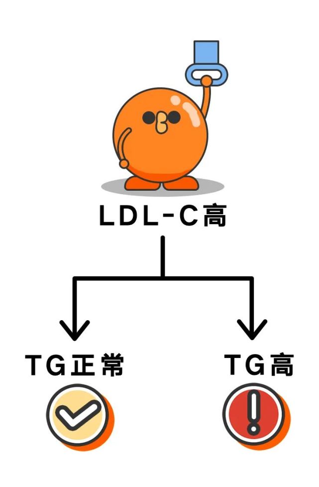 TG偏高是什么_Tg偏高是什么意思