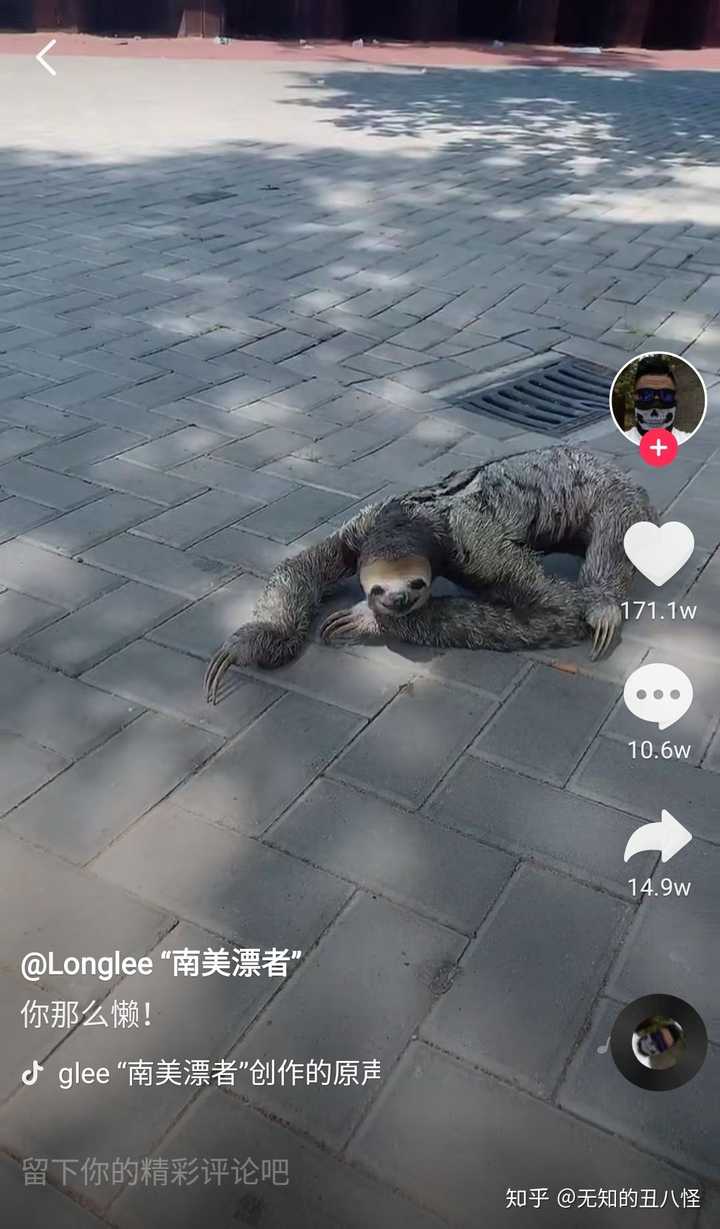 电报猴原视频出处_电报猴原视频没有电音