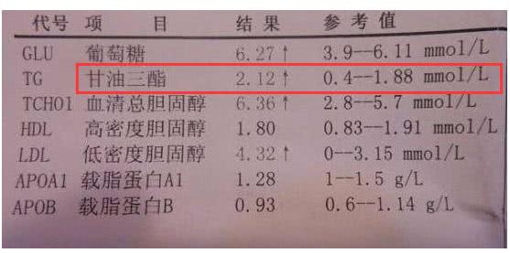 TG低于正常值_TG低于正常值是什么意思