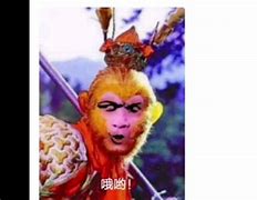 花果山电报员原声_花果山电报员搞笑视频