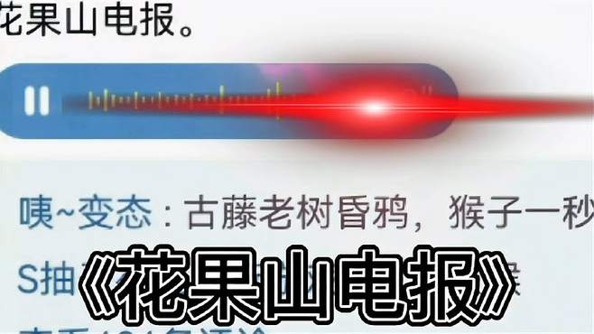 关于电报猴在哪里找的信息