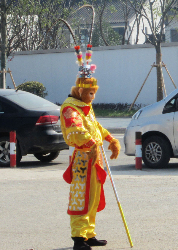 猴哥的电报声_电报猴骂人视频