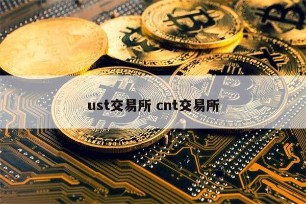 Usdt安全吗_网赌提现usdt安全吗