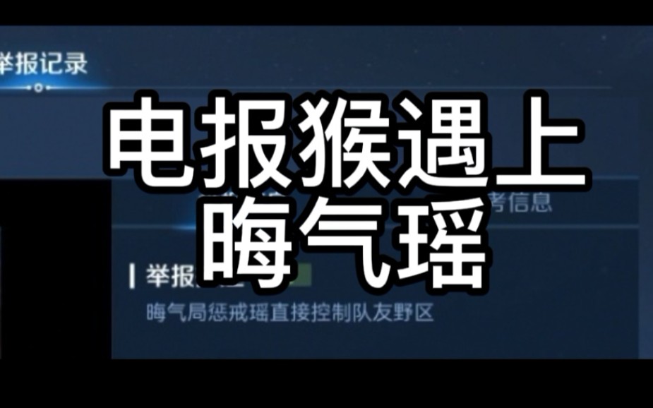 河南电报猴_电报猴原视频