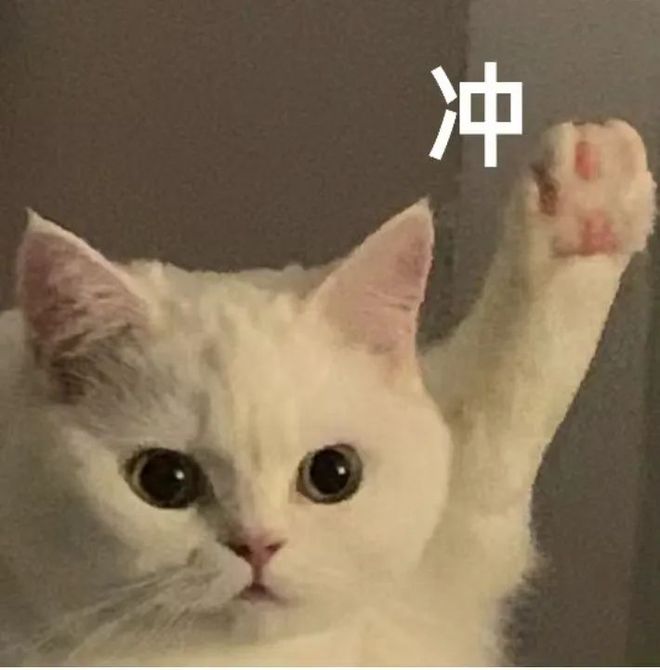 包含tokenpocket官网的词条