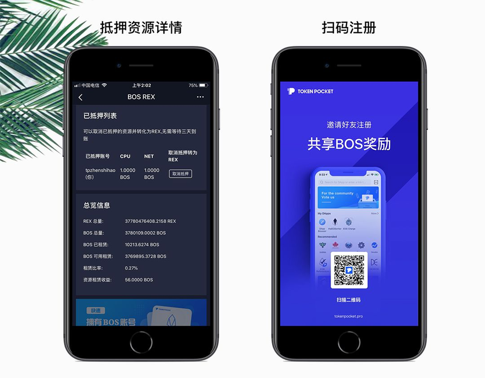 TP钱包官方_tp钱包官方下载网址
