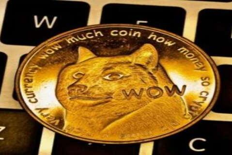 狗狗币钱包4.0_狗狗币钱包下载官网