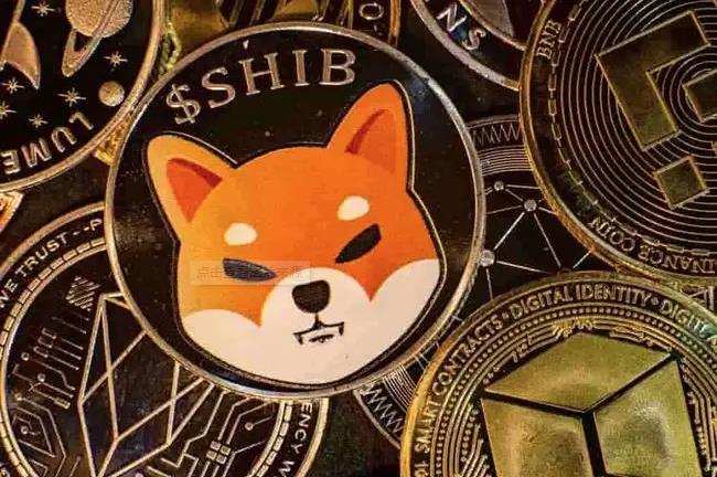 柴犬币2023年会涨到多少_柴犬币2023年会涨到多少倍