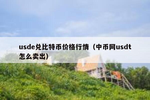 usdt币兑换人民币用什么软件_usdt兑换人民币手续费怎么计算