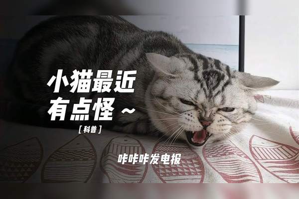 电报声音的叫声_电报声音是怎么发的