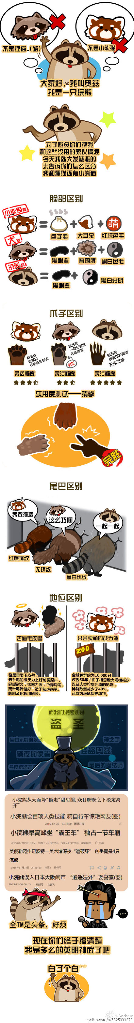 小狸猫软件安装_小狸猫图片大全可爱