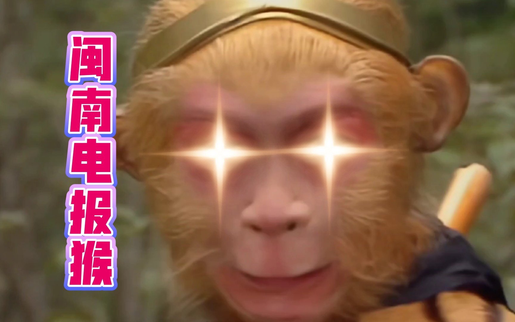 电报猴原视频的台词的简单介绍
