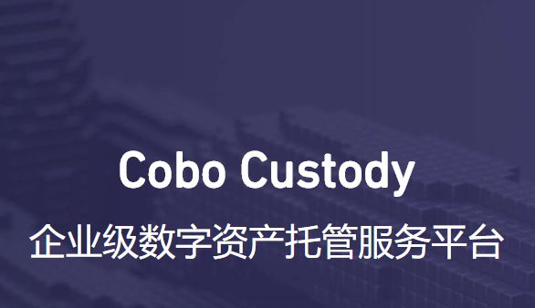 cobo钱包_cobo钱包里的钱怎么提出来