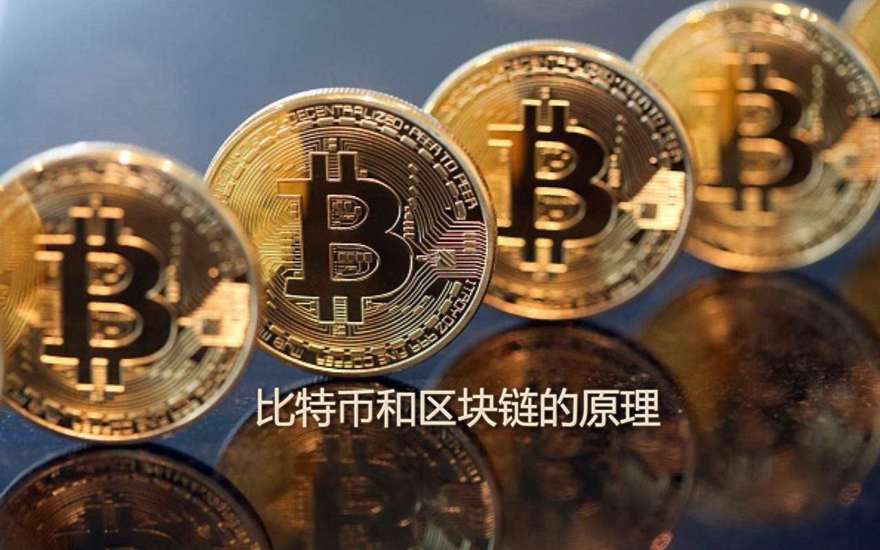 btc属于什么币种_十大虚拟币交易app