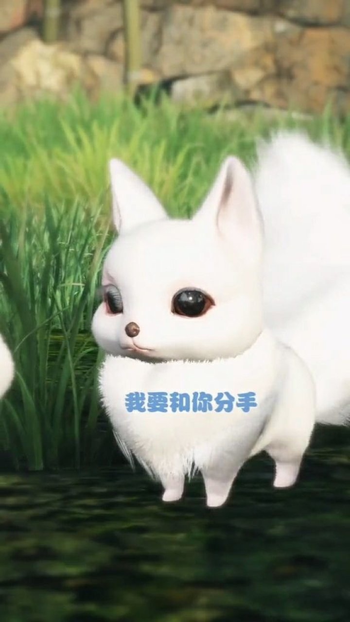 小狐狸视频最新版本_小狐狸视频免费破解版