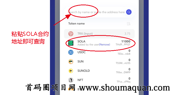 usdt注册_usdt注册地址