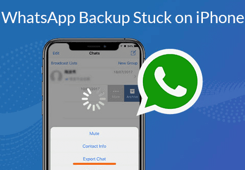 whatsapp聊天记录在哪个文件夹_whatsapp 聊天记录ios到安卓