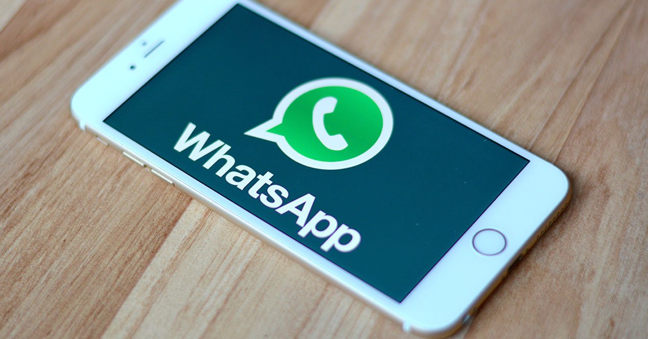 国内whatsapp怎么用_whatsapp国内手机怎么用