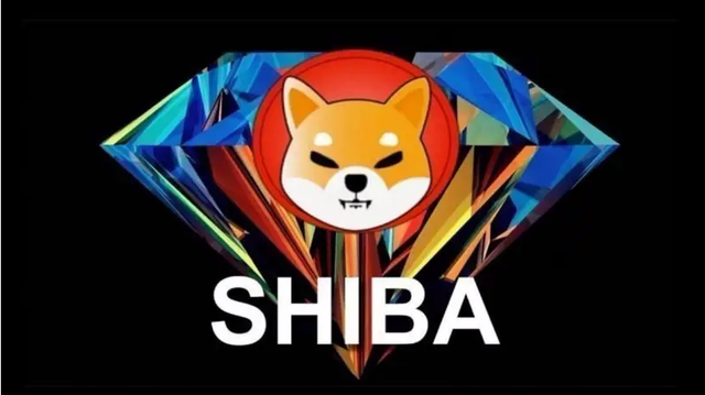 shibainu_shibainuchan