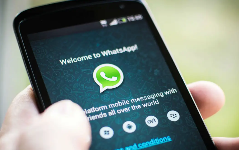 国内的whatsapp怎么用_whatsapp国内手机怎么用