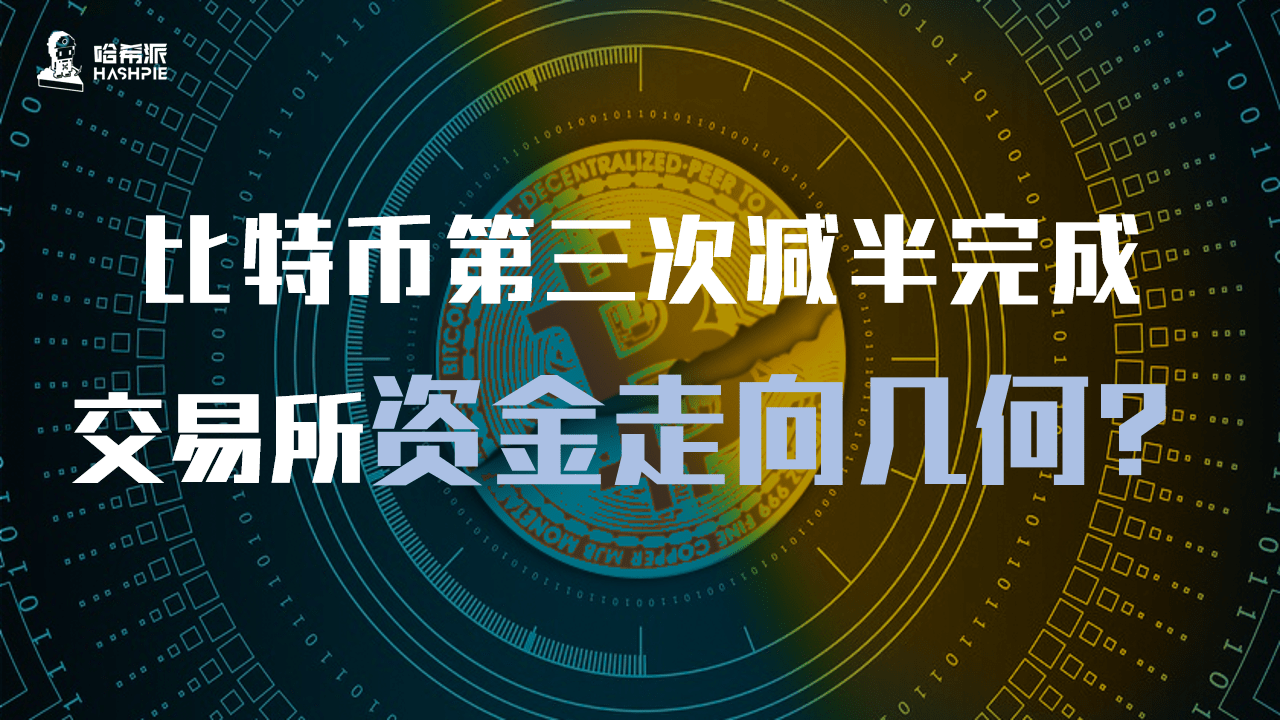 比特派官网app_比特派官网app下载网站