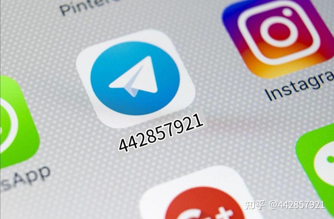 如何登录纸飞机软件_怎么登陆纸飞机app