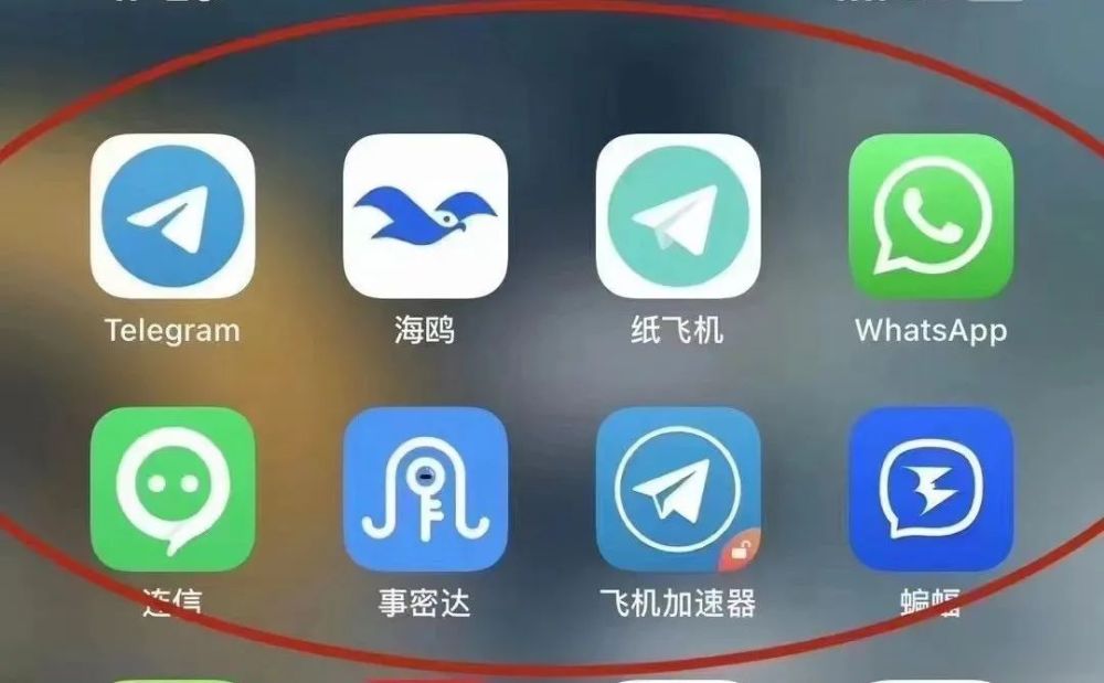 纸飞机怎么没消息提醒_纸飞机发不了消息怎么办