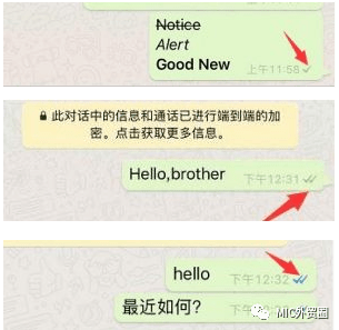 whatsapp对比微信哪个好用_whatsapp与wechat对比