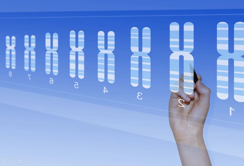 Telomere_telomere名词解释