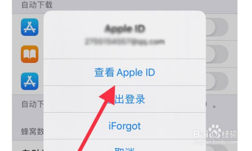 appleid在哪里查看_苹果的appleid号哪里看