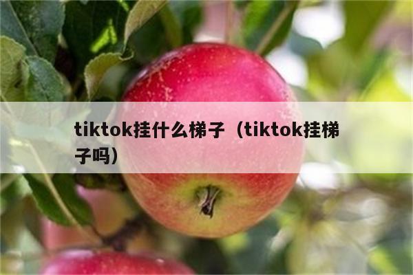 给手机挂梯子的软件_给手机挂梯子的软件有哪些