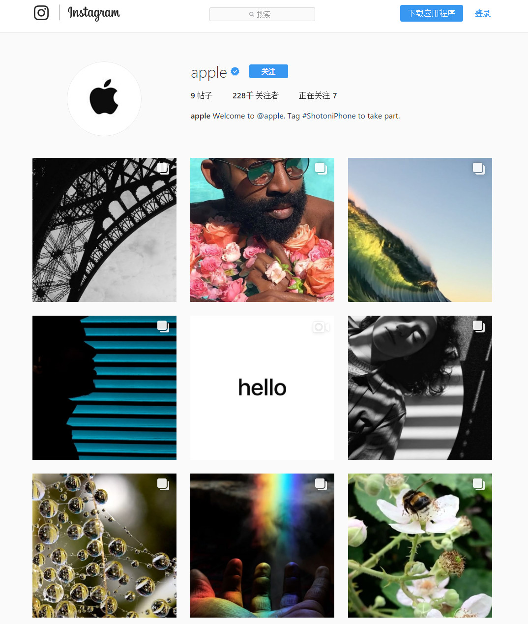 insgream苹果下载_insgream ios下载