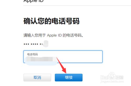 appleid是什么_appleid是什么从哪里看