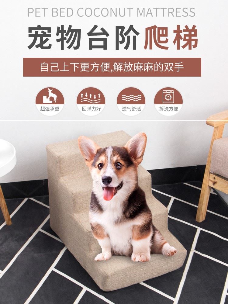 手机上如何搭梯子_手机如何搭梯子上外网