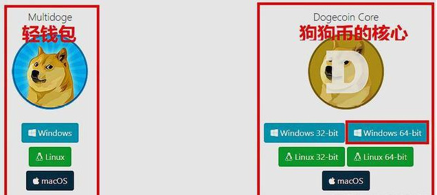 狗狗币官网注册_狗狗币下载注册安卓版