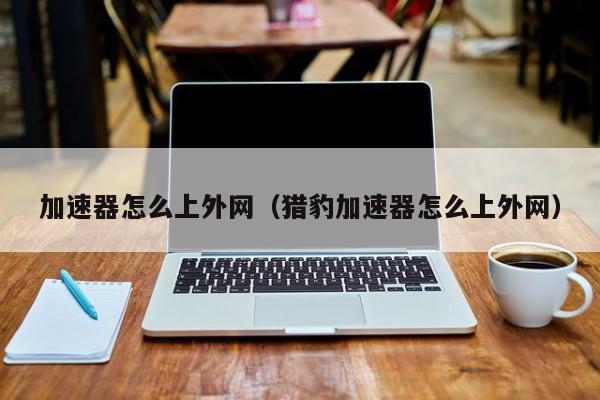 西柚加速器官方正版_西柚加速器官方正版特色