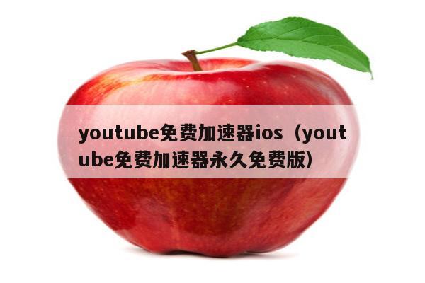 免费梯子加速器app七天油管的简单介绍