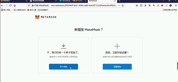 小狐狸钱包打不开浏览器怎么办呢苹果13_小狐狸钱包打不开浏览器怎么办呢苹果13pro