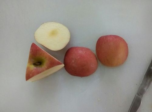 苹果不能下载螃蟹吗_iphone为何不能下载