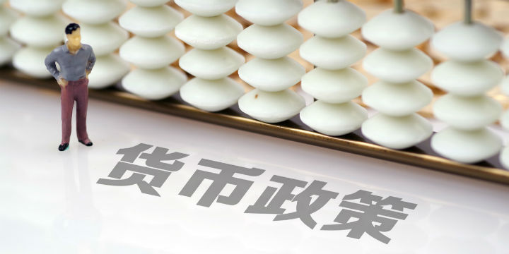 包含无单独法定货币货币局安排传统钉住安排的词条