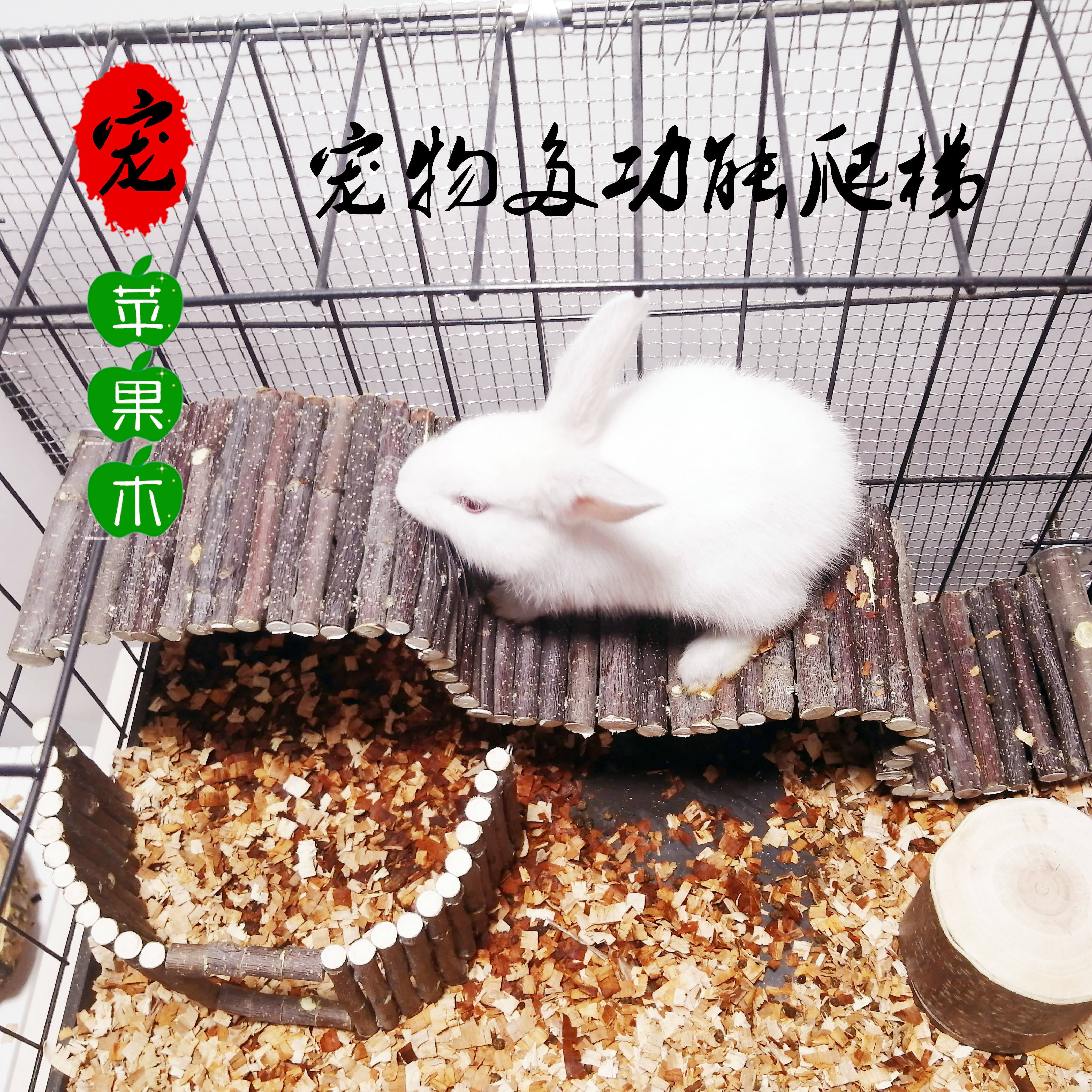 iphone怎么挂梯子上外网_iPhone怎么挂梯子上外网免费