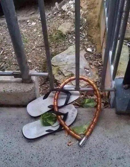 手机梯子应用_手机上梯子软件