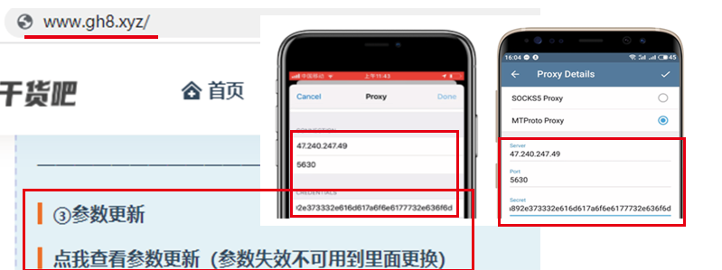 telegram在中国怎么用?_玩telegram的都是些什么人