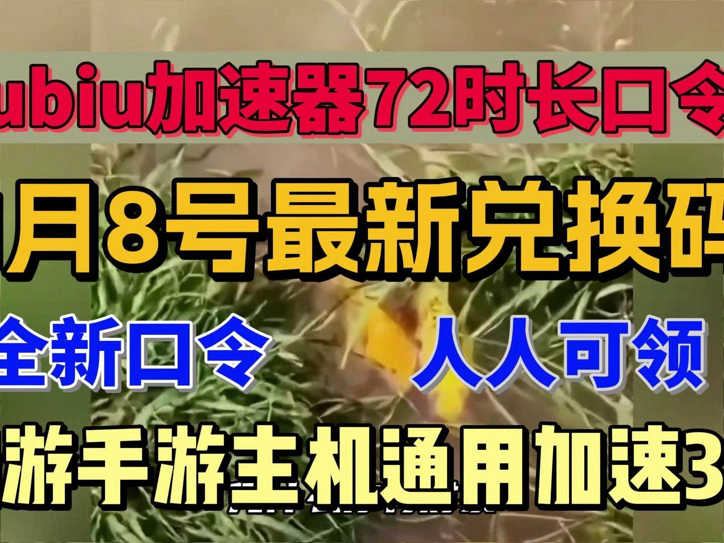 飞鸟加速器安卓破解版_飞鸟加速器安卓破解版下载
